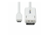 CDP2DP2MBW - StarTech 6.6ft (2m) USB C to DisplayPort 1.2 Cable, Bidirectional - Front
