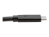 U420-006-5A - Eaton Tripp Lite Series USB-C Cable (M/M) - Close up