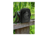4922 - Technaxx TX-164 - Digital camera - Left-angle