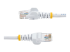45PAT5MWH - StarTech.com 5m White Cat5e / Cat 5 Snagless Ethernet Patch Cable 5 m - Multi-angle