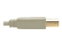 U022-010-BE - Eaton Tripp Lite Series USB 2.0 A to B Cable (M/M), Beige, 10 ft. (3.05 m) - Close up