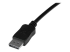DISPL15MA - StarTech 50 ft DisplayPort Cable with Latches - Close up