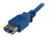 USB3SEXT1M - StarTech.com 1m Blue SuperSpeed USB 3.0 Extension Cable A to A - Close up