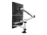 ARMDUAL30 - StarTech.com Desk Mount Dual Monitor Arm - Back