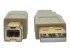U022-010-BE - Eaton Tripp Lite Series USB 2.0 A to B Cable (M/M), Beige, 10 ft. (3.05 m) - Close up