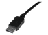 DISPL15MA - StarTech.com 50 ft DisplayPort Cable with Latches - Close up
