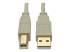 U022-010-BE - Eaton Tripp Lite Series USB 2.0 A to B Cable (M/M), Beige, 10 ft. (3.05 m) - Close up