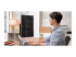 MB249C - ASUS ZenScreen MB249C - Left-angle