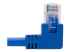 N204-001-BL-RA - Eaton Tripp Lite Series Right-Angle Cat6 Gigabit Molded UTP Ethernet Cable (RJ45 Right-Angle M to RJ45 M), Blue, 1 ft. (0.31 m) - Close up