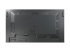 60005859 - NEC MultiSync P555 PG-2 - Back