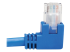 N204-015-BL-RA - Eaton Tripp Lite Series Right-Angle Cat6 Gigabit Molded UTP Ethernet Cable (RJ45 Right-Angle M to RJ45 M), Blue, 15 ft. (4.57 m) - Close up