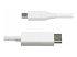 CDP2DP2MBW - StarTech 6.6ft (2m) USB C to DisplayPort 1.2 Cable, Bidirectional - Front