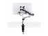 1MP1ACG-MONITOR-ARM - StarTech.com Monitor Desk Mount, VESA 75x75/100x100, 27/30-inch Screens - Back