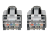 N262-006-GY - Eaton Tripp Lite Series Cat6a 10G Snagless Shielded STP Ethernet Cable (RJ45 M/M), PoE, Gray, 6 ft. (1.83 m) - Close up