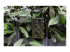 4719 - Technaxx Nature Wild Cam TX-69 - Right-angle