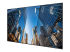 LH98QECEDGCXEN - Samsung QE98C - 98" Diagonal Class (97.5" viewable) - Right-angle