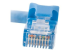 83528 - C2G Cat6 Booted Unshielded (UTP) Crossover Patch Cable - Close up