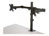 ARMDUAL2 - StarTech.com Desk Mount Dual Monitor Arm, Desk Clamp / Grommet VESA Monitor Mount for up to 32 inch Displays, Ergonomic Articulating Monitor Arm, Height Adjustable/Tilt/Swivel/Rotating - Right-angle