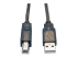 U042-050 - Tripp Lite 50ft USB 2.0 Hi-Speed Active Repeater Cable USB-A to USB-B M/M 50' - Close up