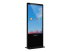 EP5542 - ViewSonic EP5542 - 55" Diagonal Class ePoster Series LED-backlit LCD display - Left-angle