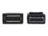 P579-006 - Eaton Tripp Lite Series DisplayPort Extension Cable with Latch, 4K @ 60 Hz, HDCP 2.2 (M/F), 6 ft. (1.83 m) - Close up
