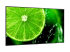 60005159 - NEC MultiSync E868 - 86" Diagonal Class (85.6" viewable) - Left-angle