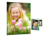 Q2510A - HP Everyday Photo Paper - Front