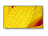 60006083 - NEC MultiSync M431-2 - Front