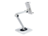 ADJ-TABLET-STAND-W - StarTech.com Adjustable Tablet Stand for Desk, Desk/Wall Mountable, Supports Up to 2.2lb, Universal Tablet Stand Holder for Desk, Articulating Tablet Mount with Pivot/Swivel/Rotate - Back