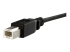 USBPNLBFBM1 - StarTech 1 ft Panel Mount USB Cable B to B - Close up