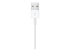 MX2E2ZM/A - Apple Magnetic - Smart watch charging cable - Close up