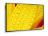 60006083 - NEC MultiSync M431-2 - Left-angle