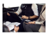 1000223 - EPOS EXPAND SP 30 - Smart speakerphone - Right-angle