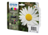 C13T18064012 - Epson 18 Multipack - 4-pack - Right-angle