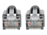 N262-015-GY - Eaton Tripp Lite Series Cat6a 10G Snagless Shielded STP Ethernet Cable (RJ45 M/M), PoE, Gray, 15 ft. (4.57 m) - Close up