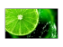 60005159 - NEC MultiSync E868 - 86" Diagonal Class (85.6" viewable) - Front