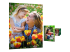 Q2510A - HP Everyday Photo Paper - Front