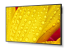 60006083 - NEC MultiSync M431-2 - Right-angle
