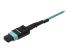 MPO8LCPL2M - StarTech.com MTP to LC Breakout Cable - Close up