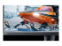 GAME-AW2524HF - Alienware 500Hz Gaming Monitor AW2524HF - Close up