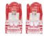 330749 - Intellinet Network Patch Cable, Cat5e, 15m, Red, CCA, SF/UTP, PVC, RJ45, Gold Plated Contacts, Snagless, Booted, Lifetime Warranty, Polybag - Close up