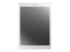 77-62053 - OtterBox Alpha - Screen protector for tablet - Front