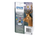 C13T13064012 - Epson T1306 Multipack - Right-angle