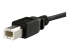 USBPNLBFBM3 - StarTech 3 ft Panel Mount USB Cable B to B - Close up