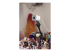 960-001297 - Logitech StreamCam - Live streaming camera - Right-angle