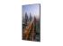 60005064 - NEC MultiSync M751 - 75" Diagonal Class M Series LED-backlit LCD display - Right-angle