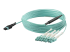 MPO8LCPL5M - StarTech.com MTP to LC Breakout Cable - Front