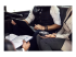 1000223 - EPOS EXPAND SP 30 - Smart speakerphone - Right-angle