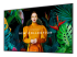 LH65QMCEBGCXEN - Samsung QM65C - 65" Diagonal Class QMC Series LED-backlit LCD display - Right-angle