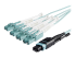 MPO8LCPL10M - StarTech.com MTP to LC Breakout Cable - Close up